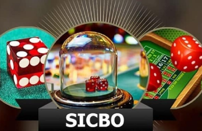 5 kinh nghiệm đánh Sicbo tại cổng game Win79 dễ ăn từ cao thủ